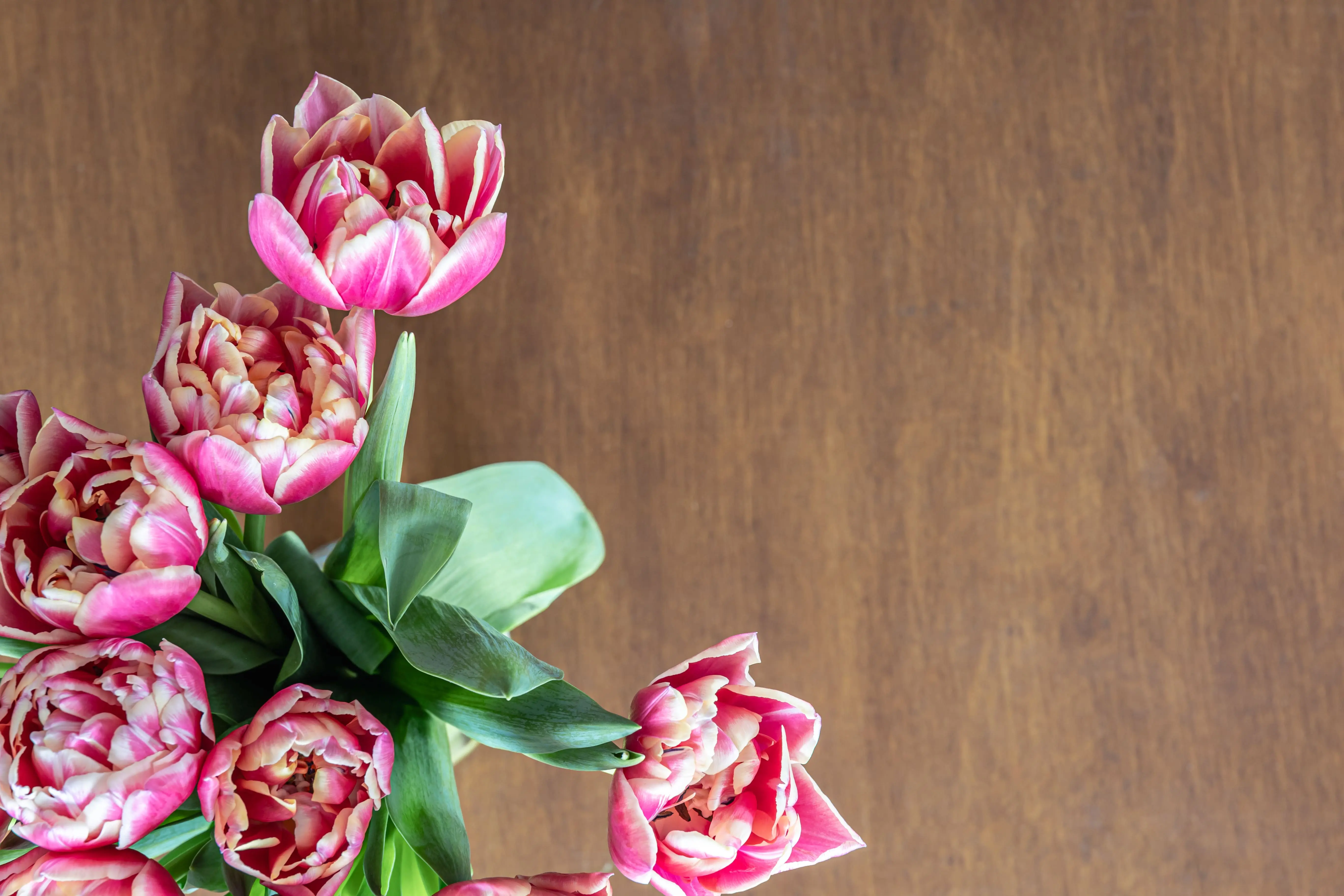 Imported premium flowers