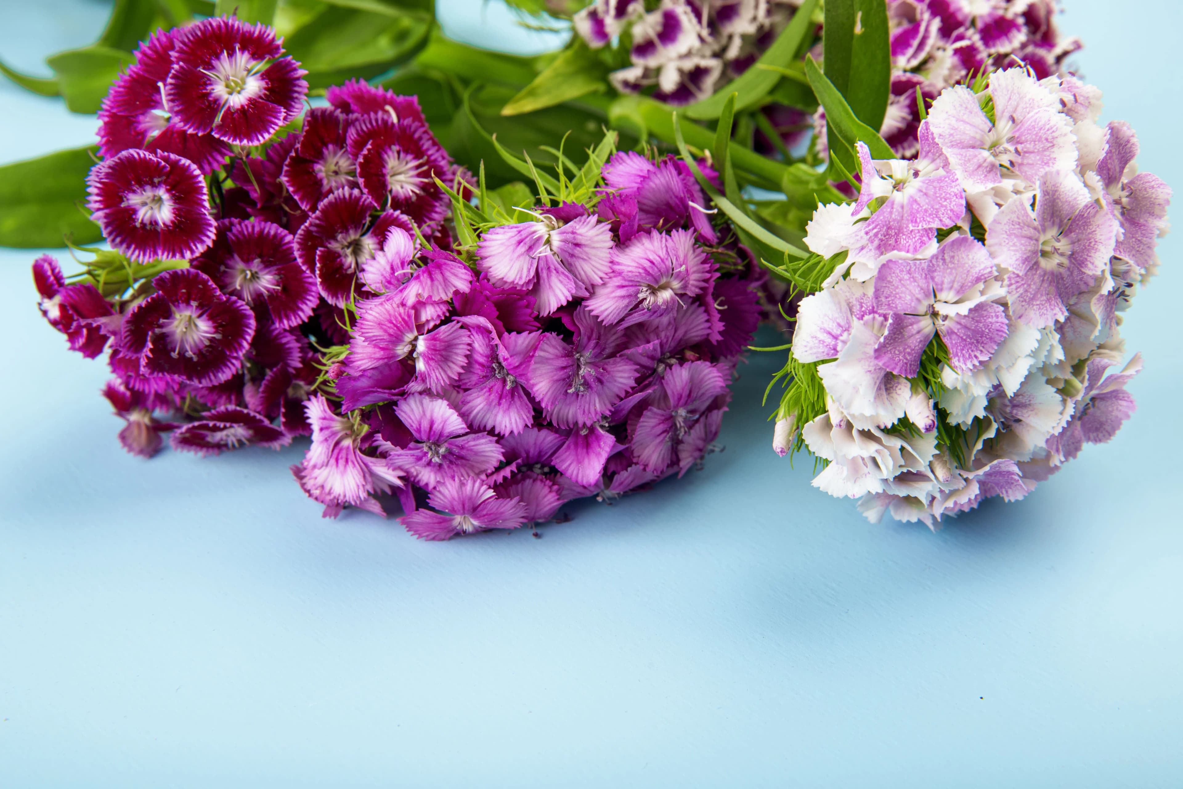 Premium imported floral arrangement